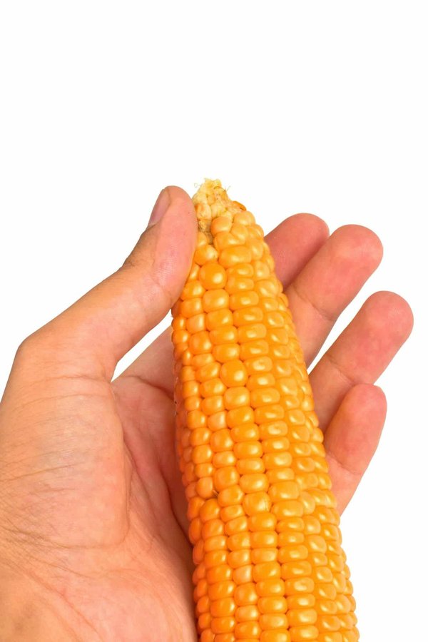 Quali sono i passaggi per configurare un dispositivo di monitoraggio del consumo di carburante in tempo reale?